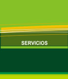 servicios